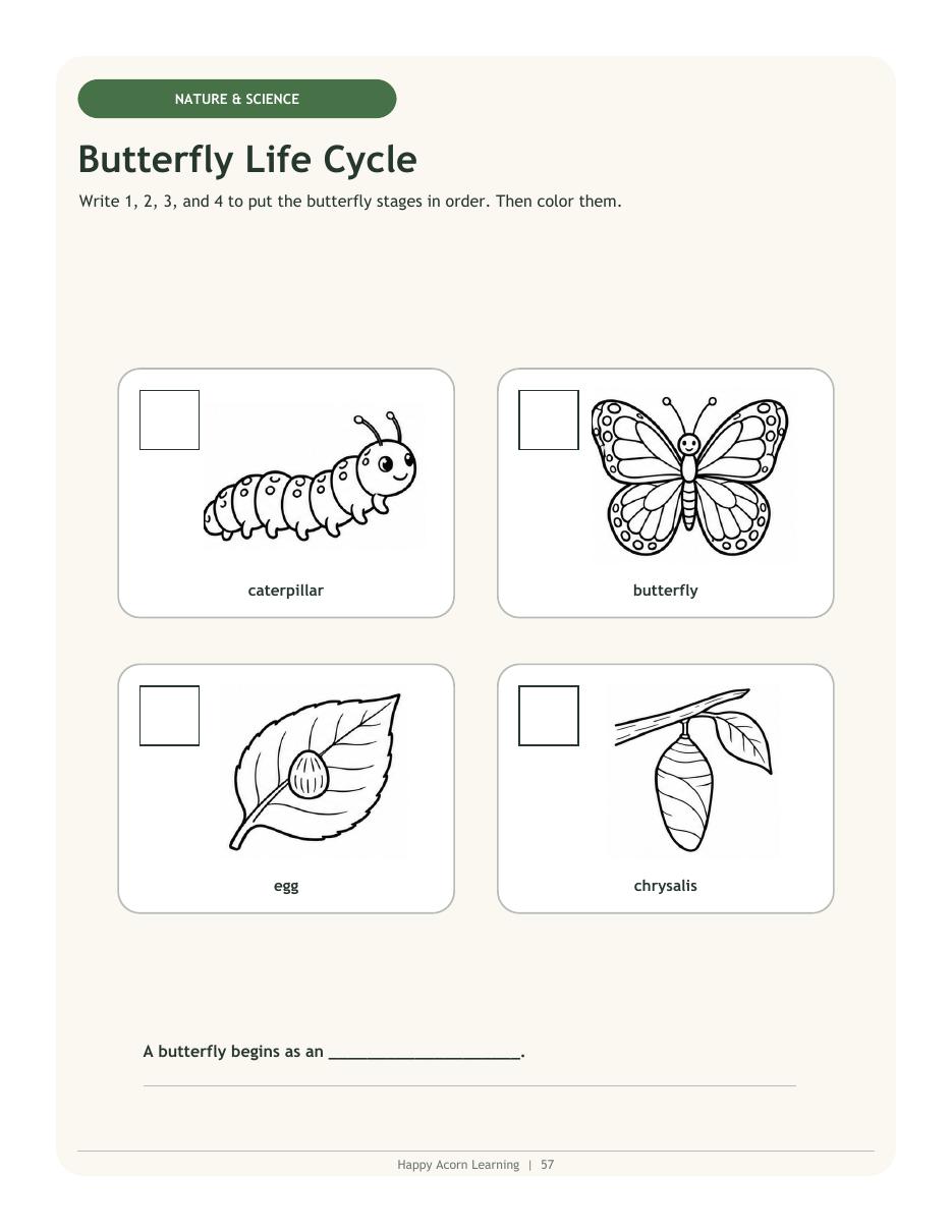 Butterfly life cycle preschool science activity